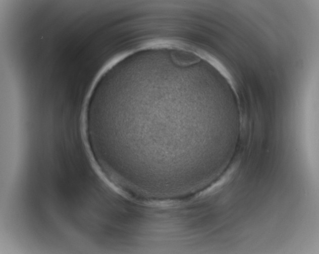 X0000114201045200910161221