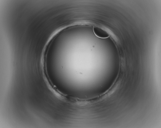 X0000114201046200910161221