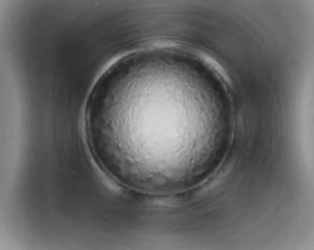 X0000114201047200910161221