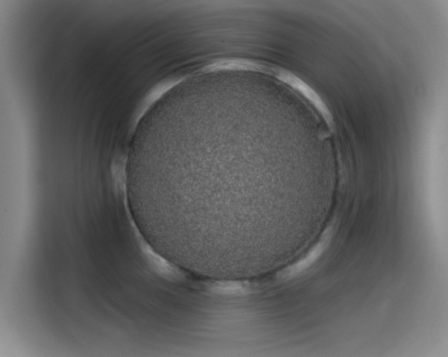 X0000114201049200910161221