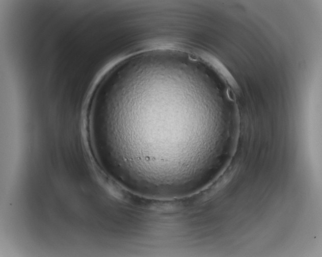 X0000114201051200910161221