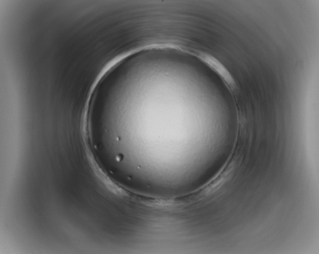 X0000114201052200910161221