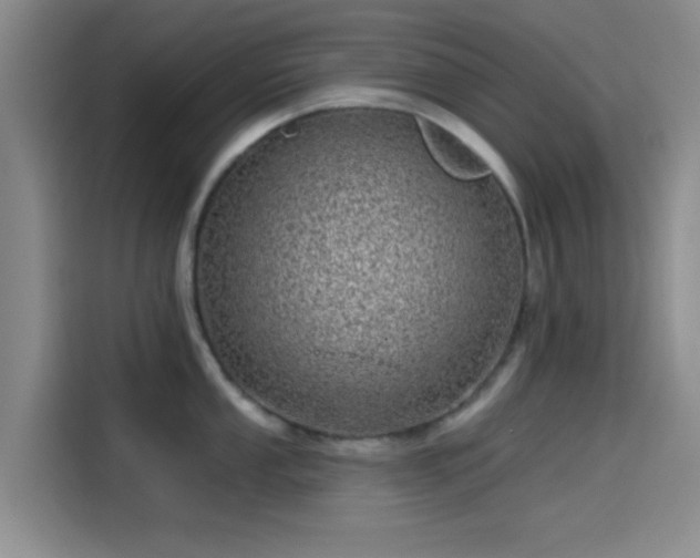 X0000114201053200910161221