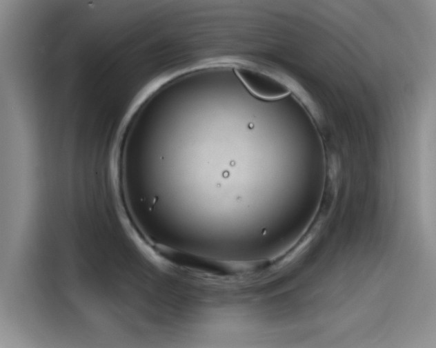 X0000114201054200910161221