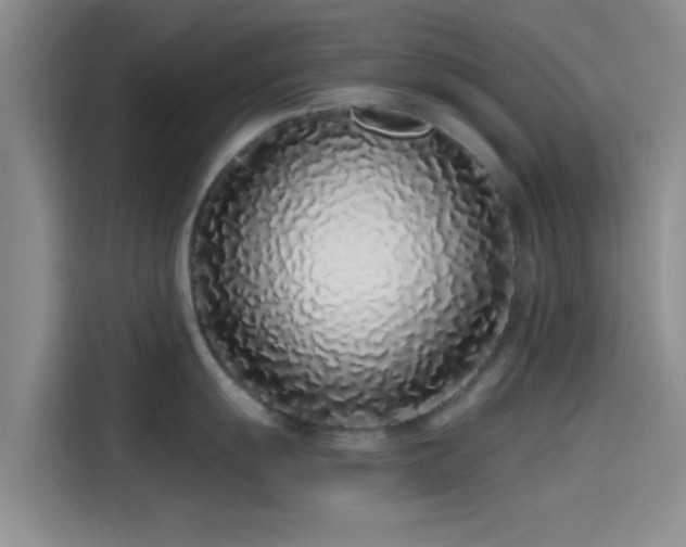 X0000114201055200910161221