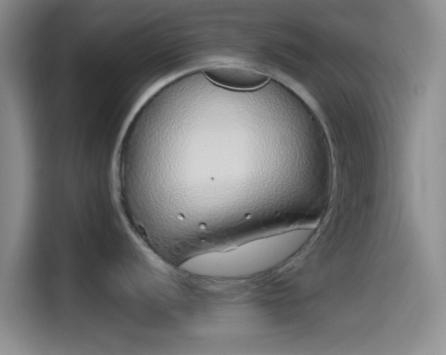 X0000114201056200910161221