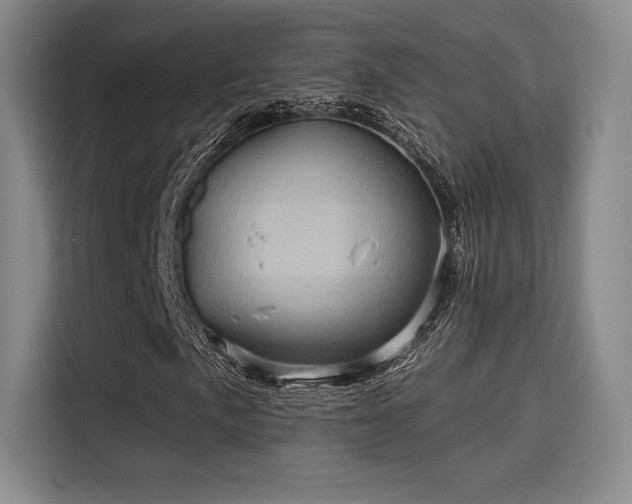 X0000114201057200910161220