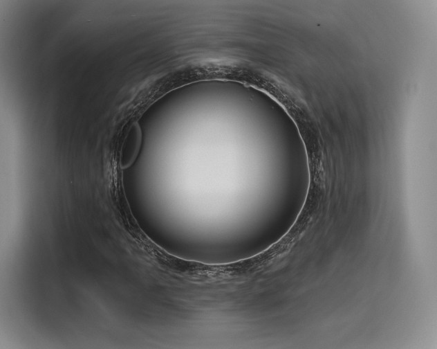 X0000114201061200910161220