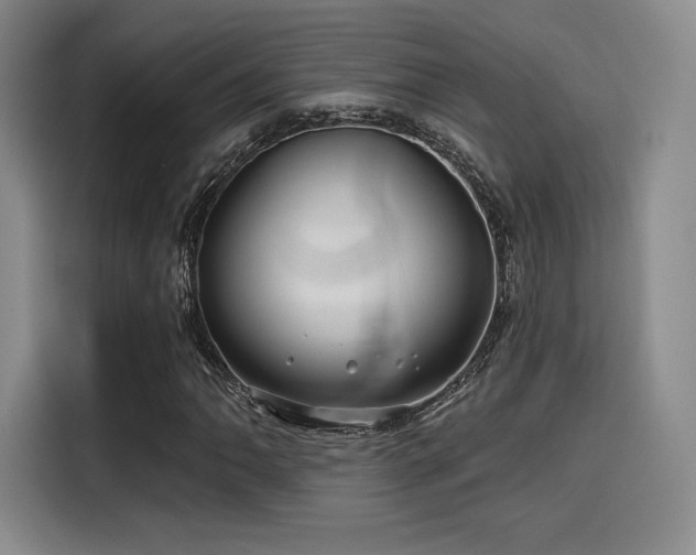 X0000114201062200910161220