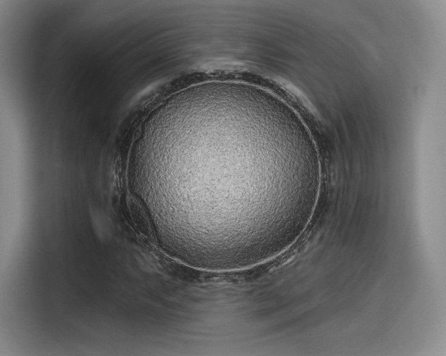 X0000114201063200910161220