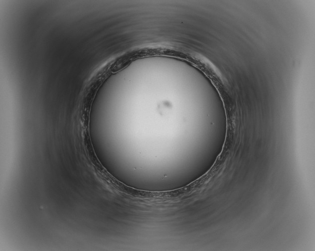 X0000114201064200910161220