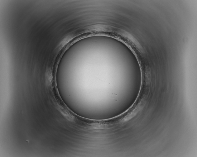 X0000114201065200910161220