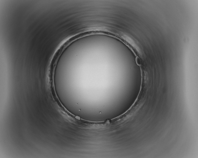 X0000114201068200910161220