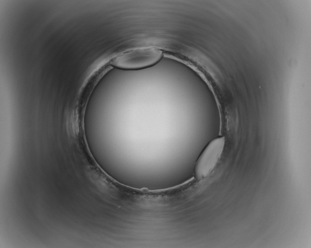 X0000114201069200910161220