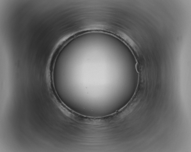 X0000114201072200910161220