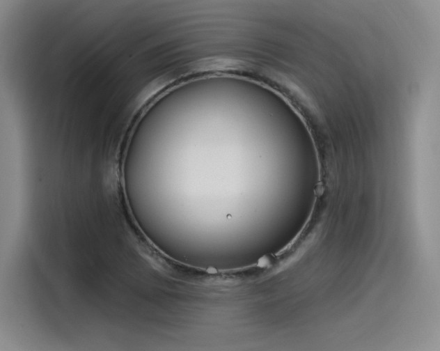 X0000114201073200910161220