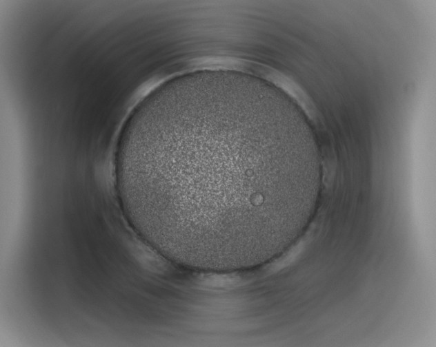 X0000114201074200910161220