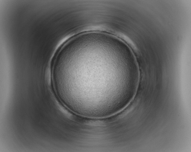 X0000114201079200910161220