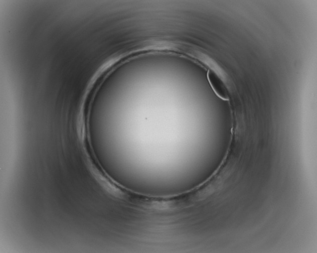 X0000114201080200910161220