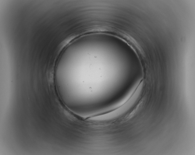 X0000114201081200910161220