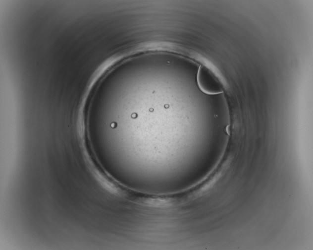 X0000114201082200910161220