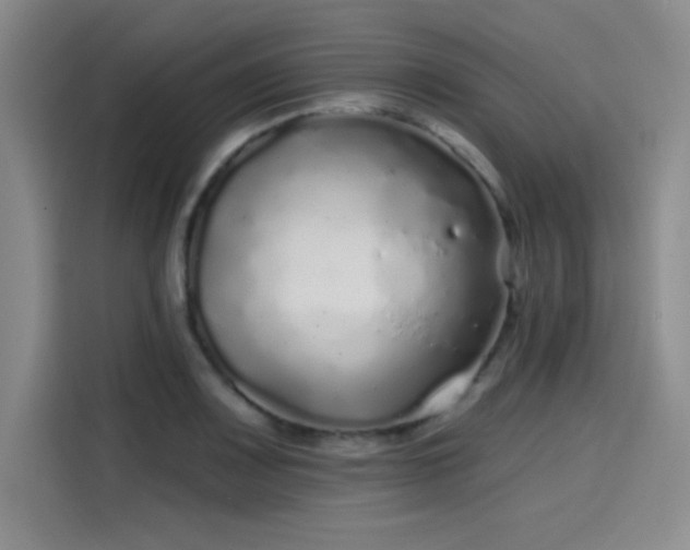 X0000114201083200910161220