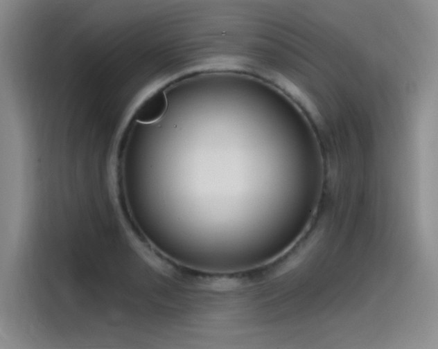 X0000114201085200910161220