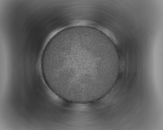 X0000114201086200910161220