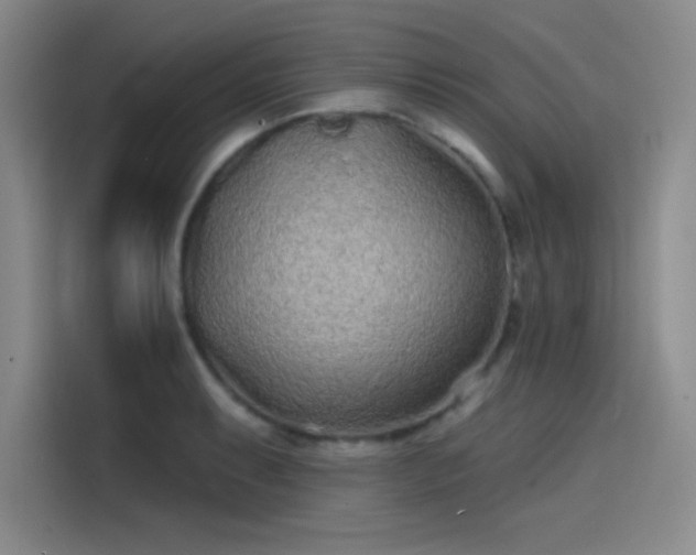 X0000114201087200910161220