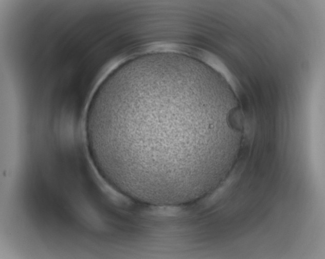 X0000114201090200910161220