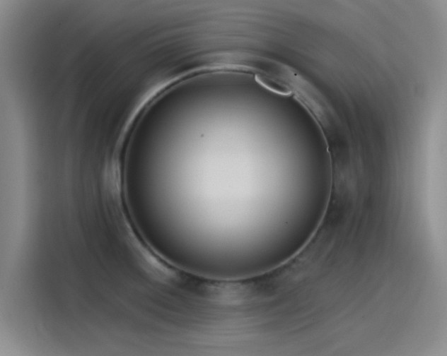 X0000114201092200910161220