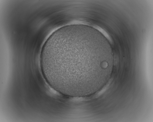 X0000114201094200910161220