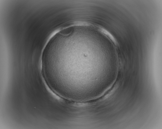 X0000114201095200910161220