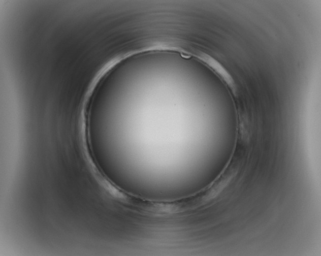 X0000114201096200910161220