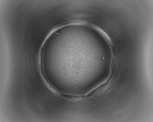 X0000114201099200910161220