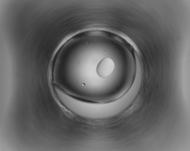 X0000114201101200910161220