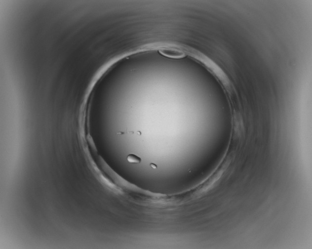 X0000114201102200910161220