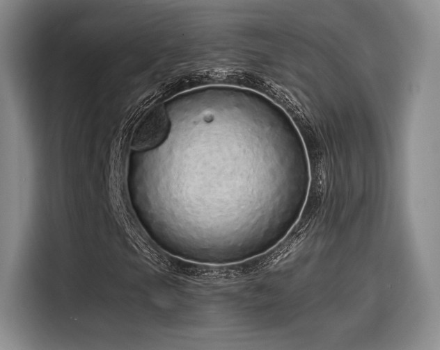 X0000114201105200910161219