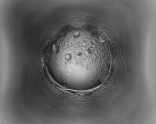 X0000114201106200910161219