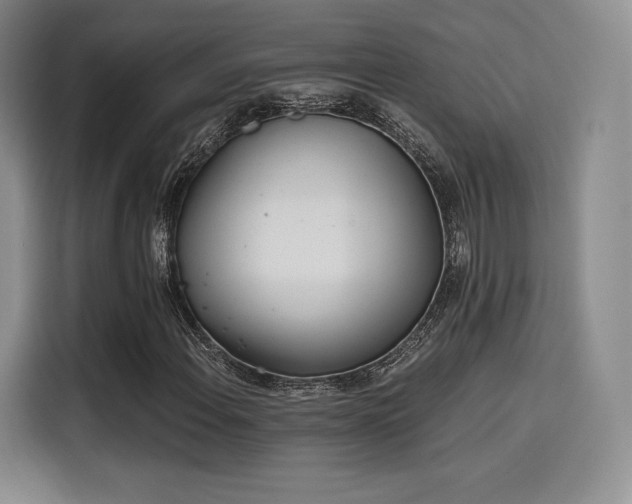 X0000114201108200910161219