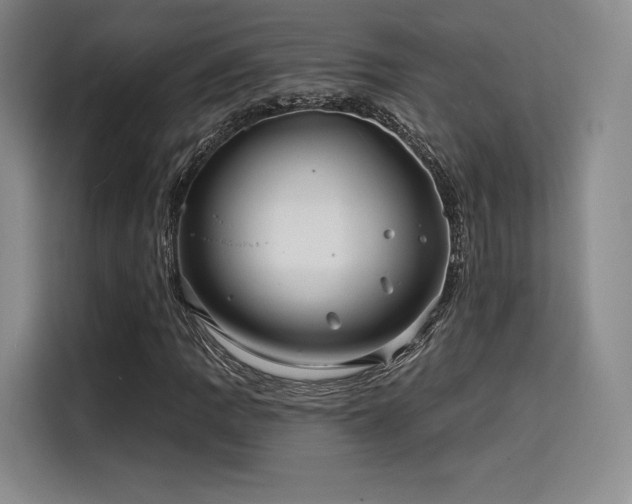 X0000114201109200910161219