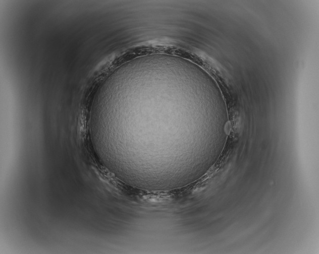 X0000114201110200910161219