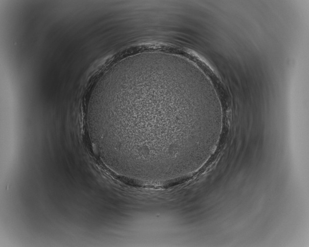 X0000114201111200910161219