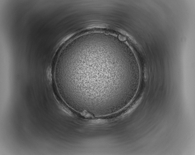 X0000114201113200910161219