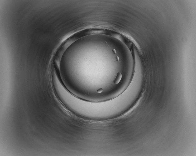 X0000114201114200910161219