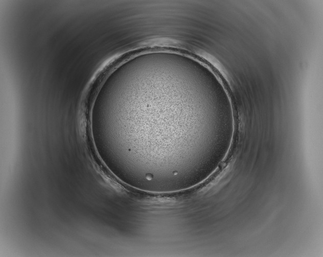 X0000114201115200910161219