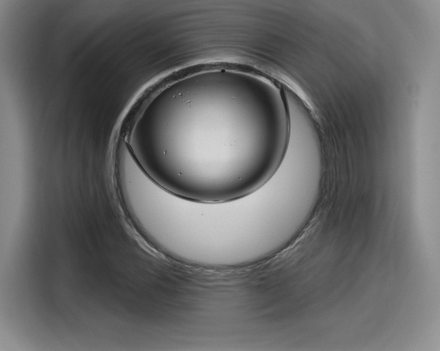 X0000114201116200910161219