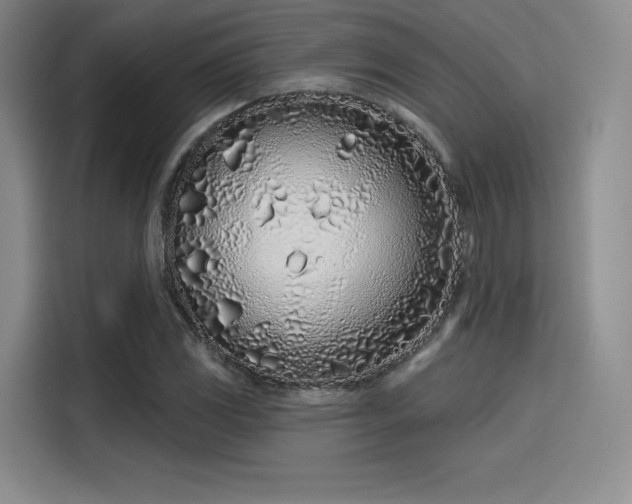 X0000114201117200910161219