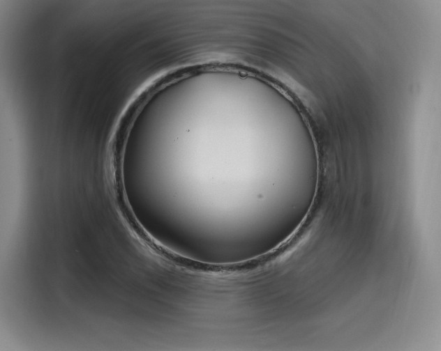 X0000114201118200910161219