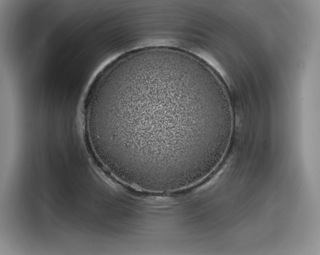 X0000114201119200910161219